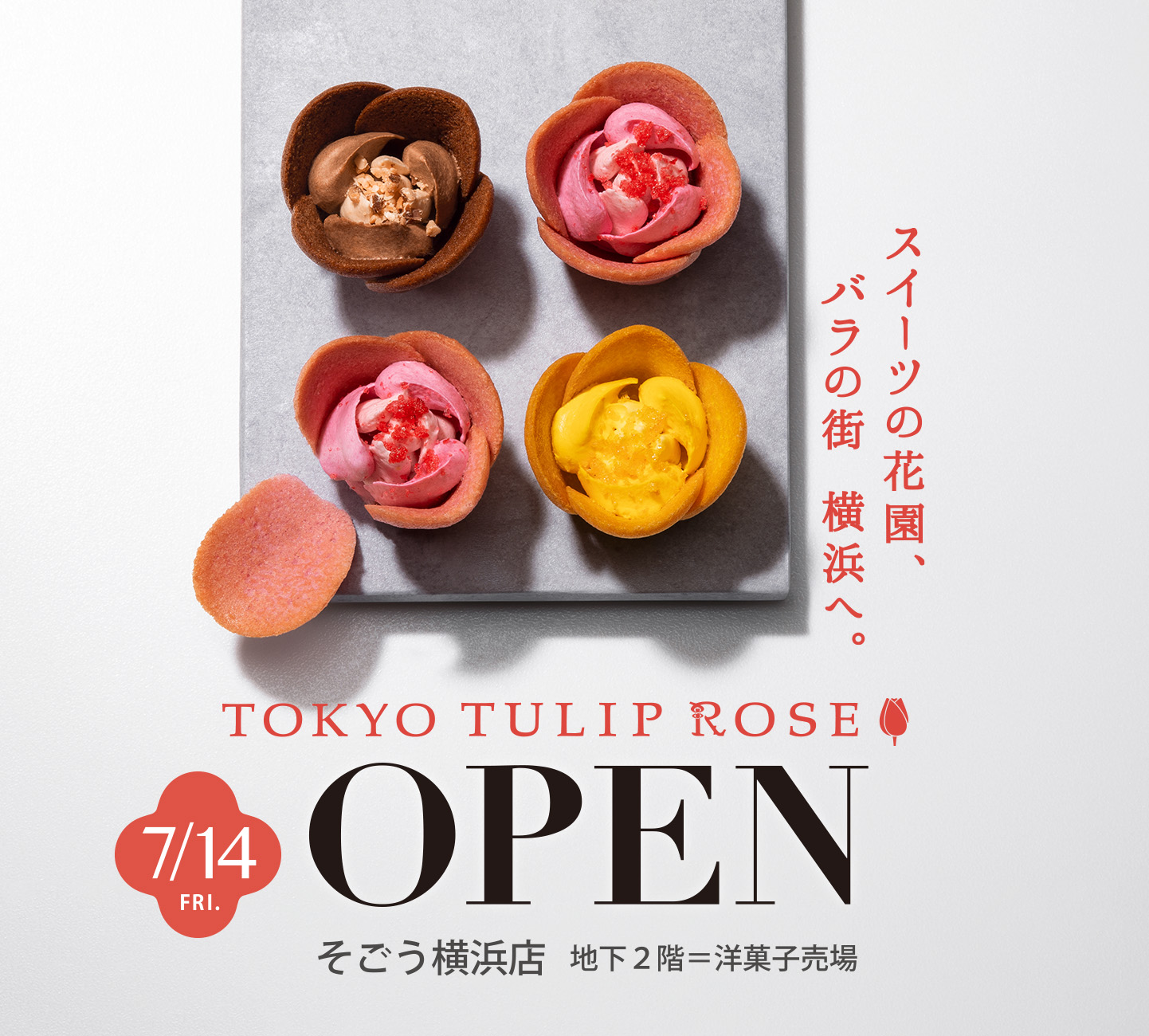 TOKYOチューリップローズ TOKYO TULIP ROSE ６個入  ラングドシャ  お土産  ギフト  贈り物  プレゼント  洋菓子
