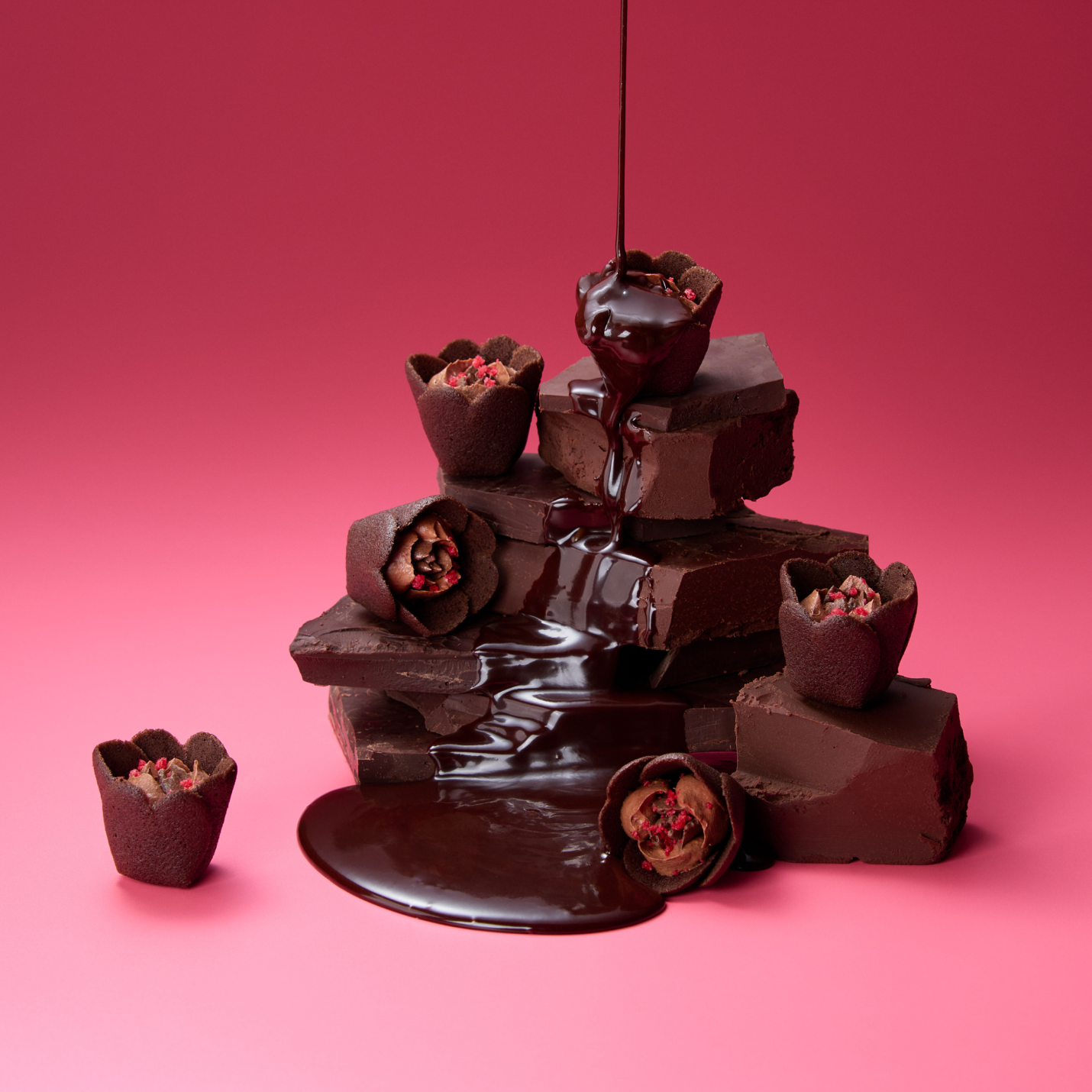 チューリップローズ ショコラ・フルコース