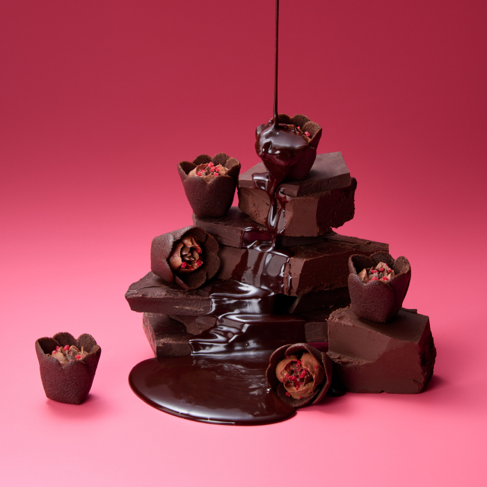 チューリップローズ ショコラ・フルコース